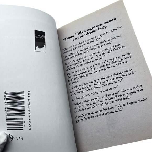 His Perfect Match By Elaine Overton 2009 Paperback Romance Novel Kimani Press - Picture 15 of 15